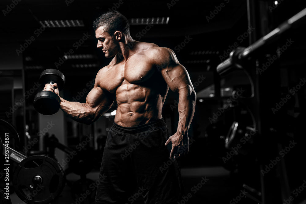 Dumbbells Versus Exercise Equipment in Fitness Regimens