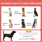 48" x 36" Elevated Portable Dog Cot Cooling Pet Bed with UV Protection